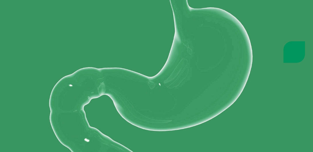 Microbioom en geneesmiddelen - een update
