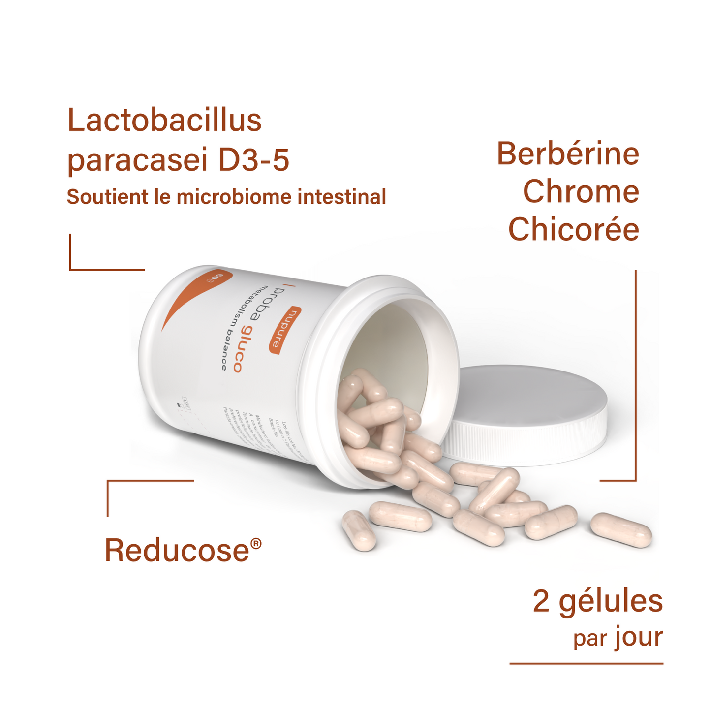 Proba Gluco Metabolism Balance