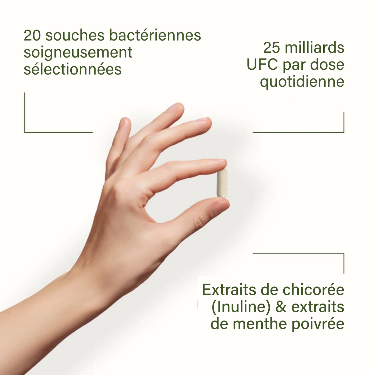 Nupure probaflor plus 60 caps (fr)