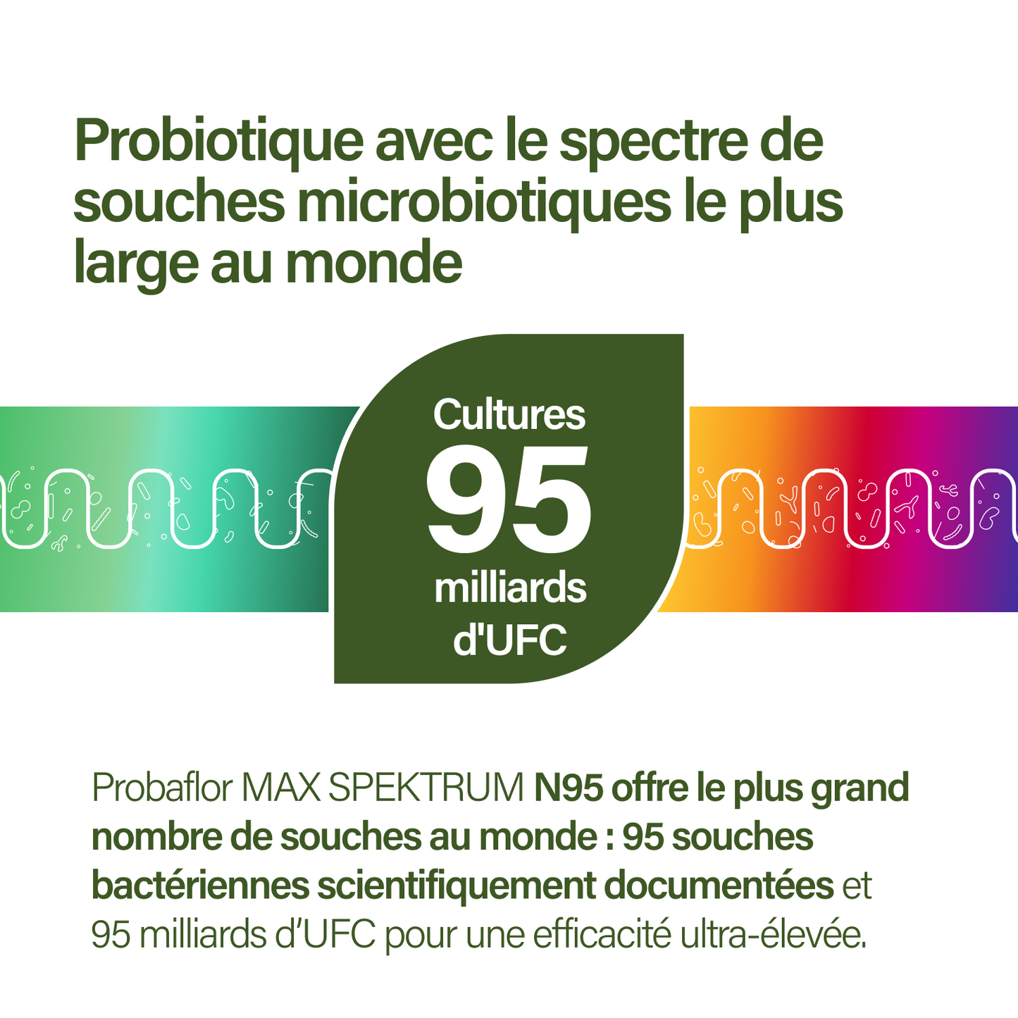 probaflor MAX SPEKTRUM N95