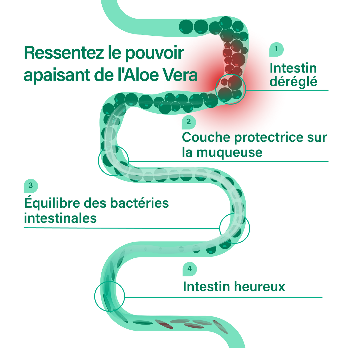 nucolsan - colon irritable