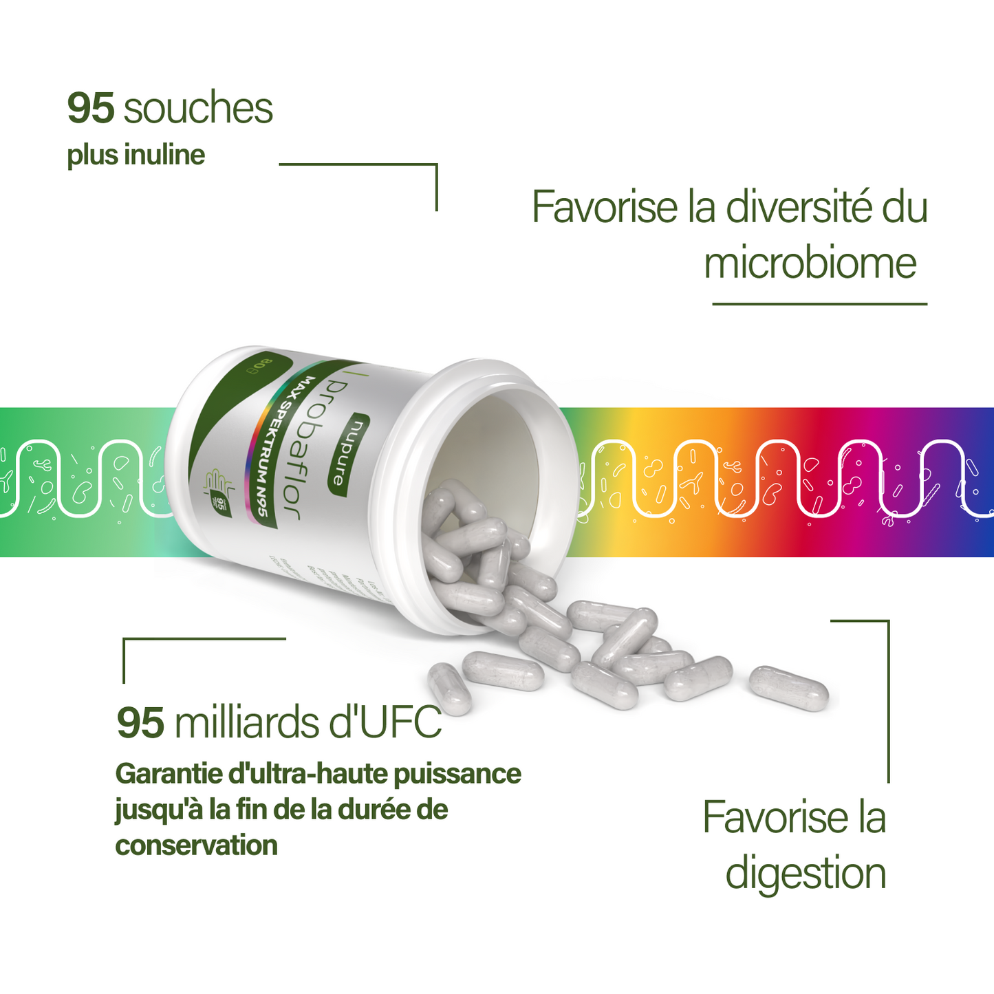 probaflor MAX SPEKTRUM N95