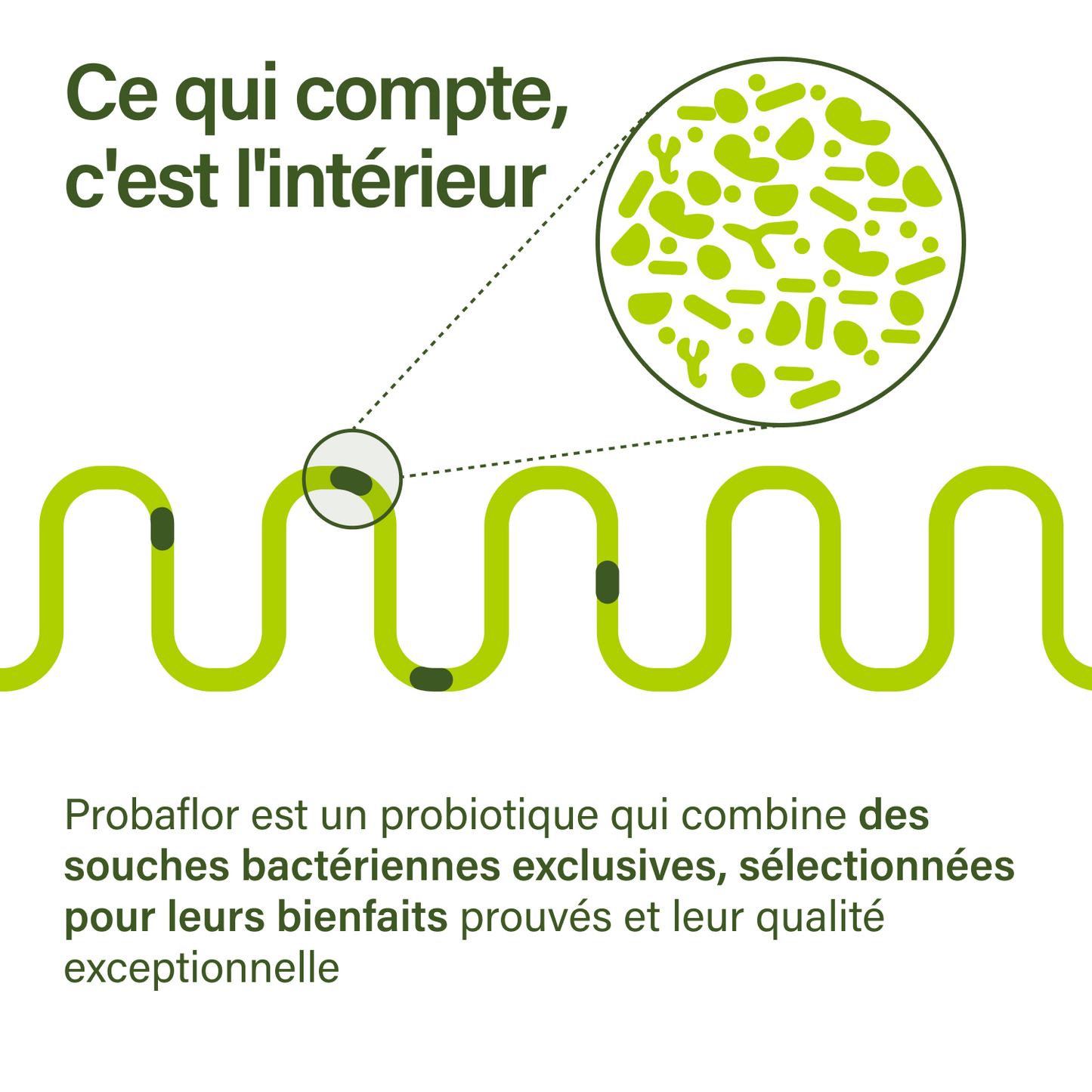 probaflor
