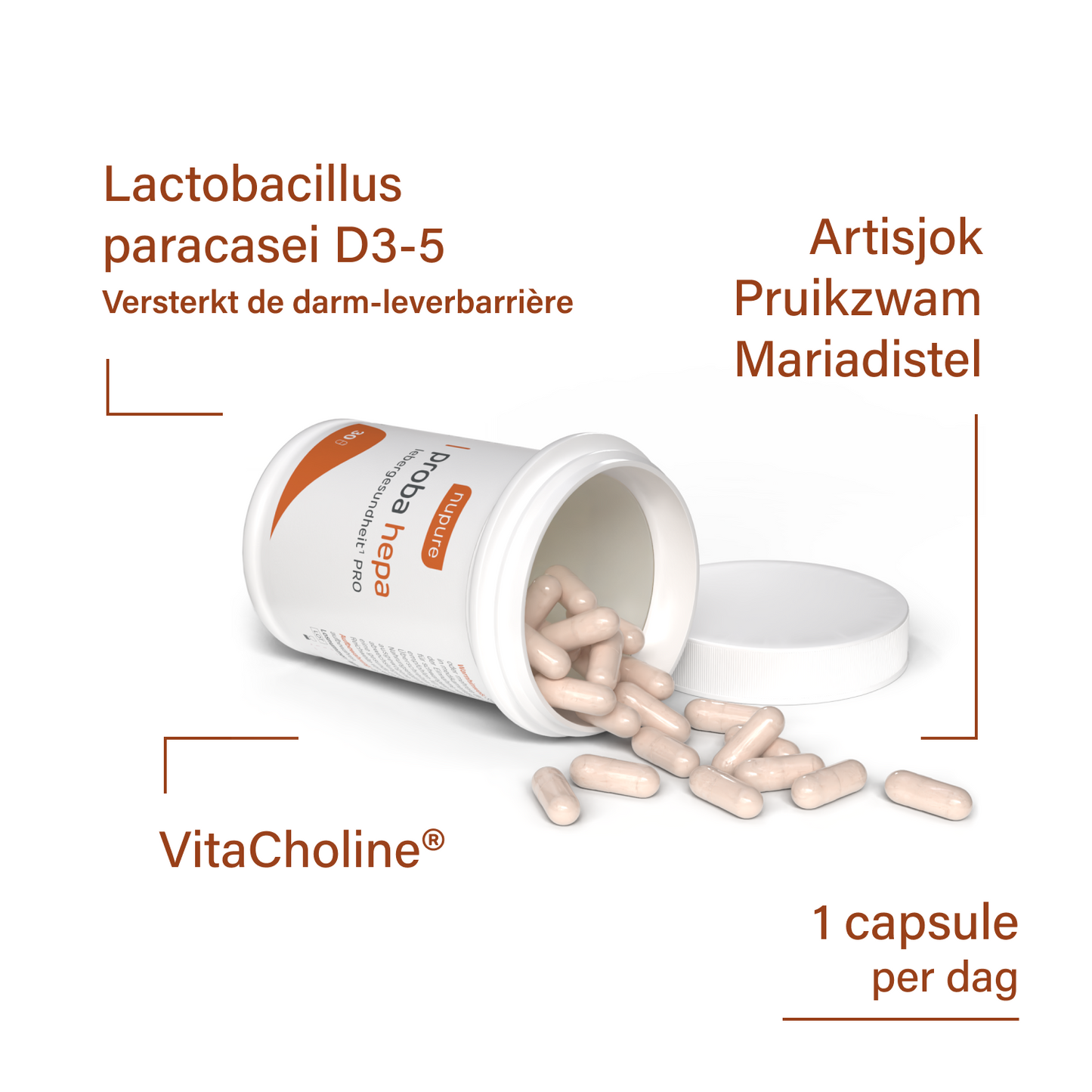 proba hepa levergezondheid PRO