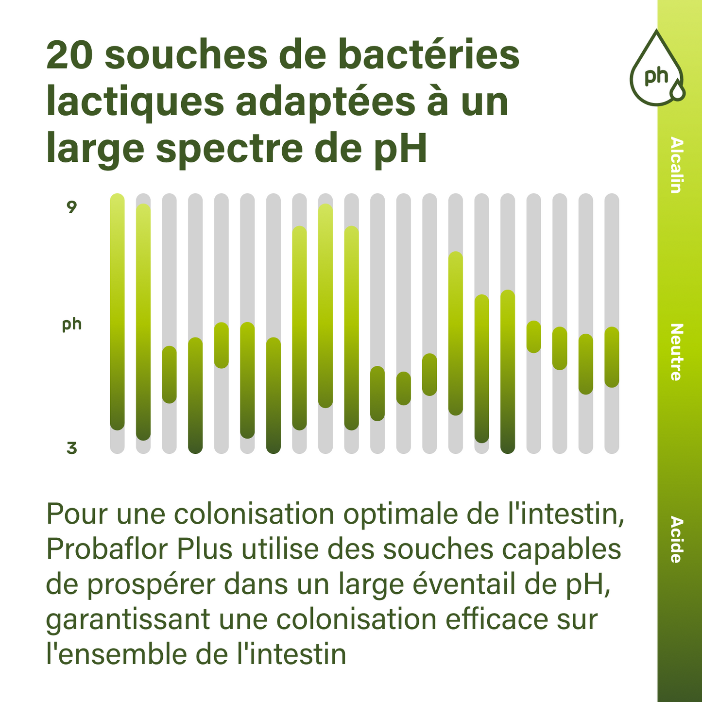 probaflor plus