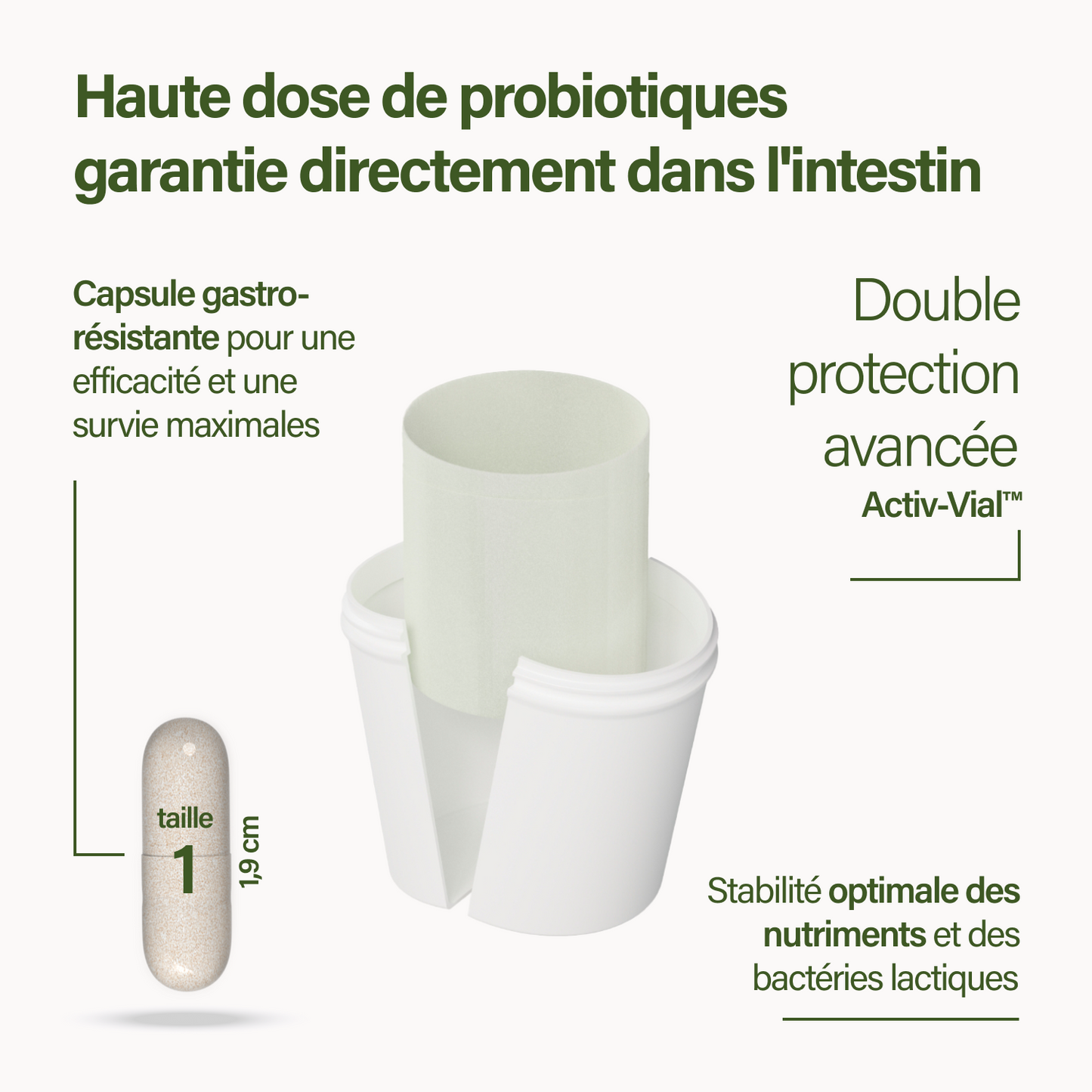 probaflor plus