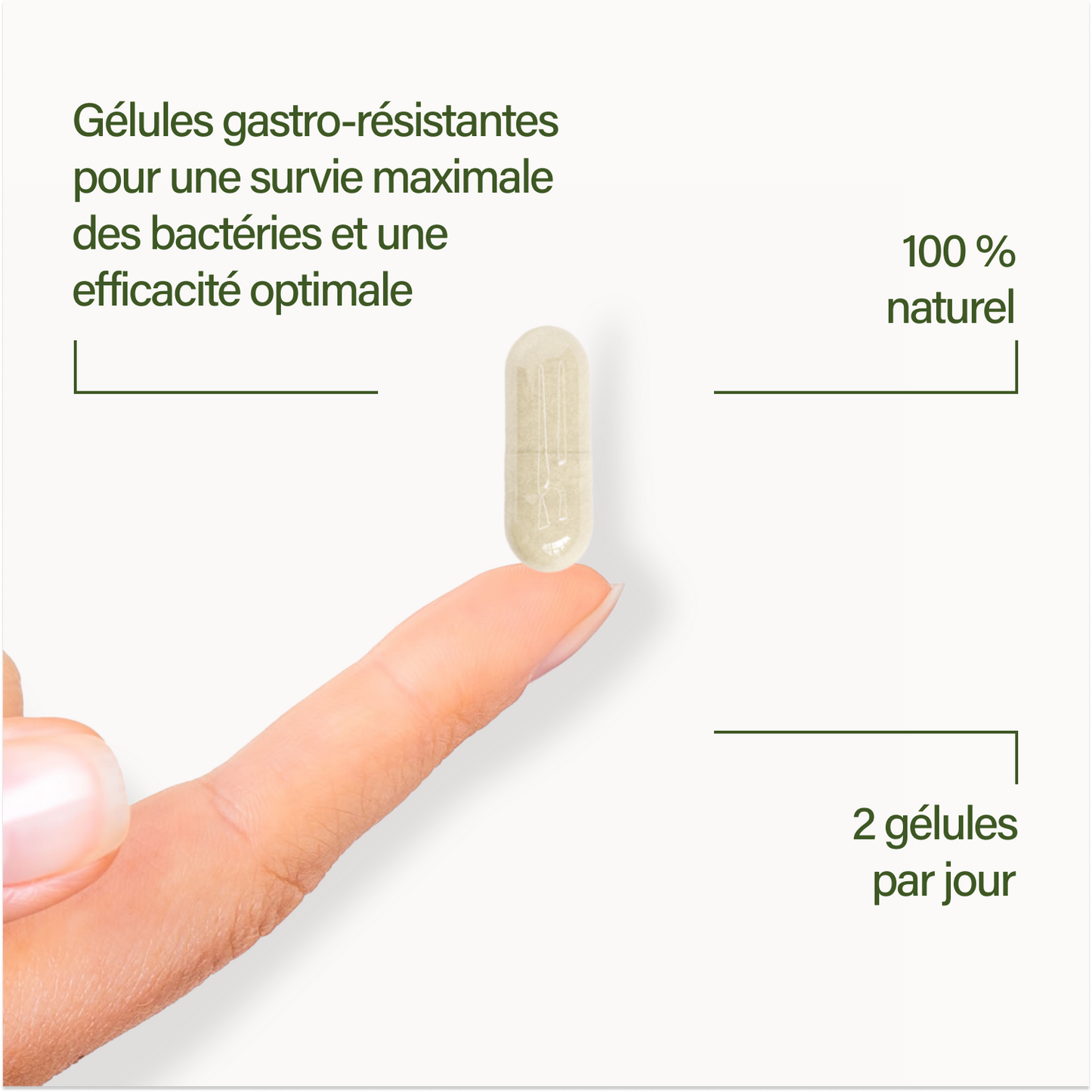 probaflor MAX SPEKTRUM N95
